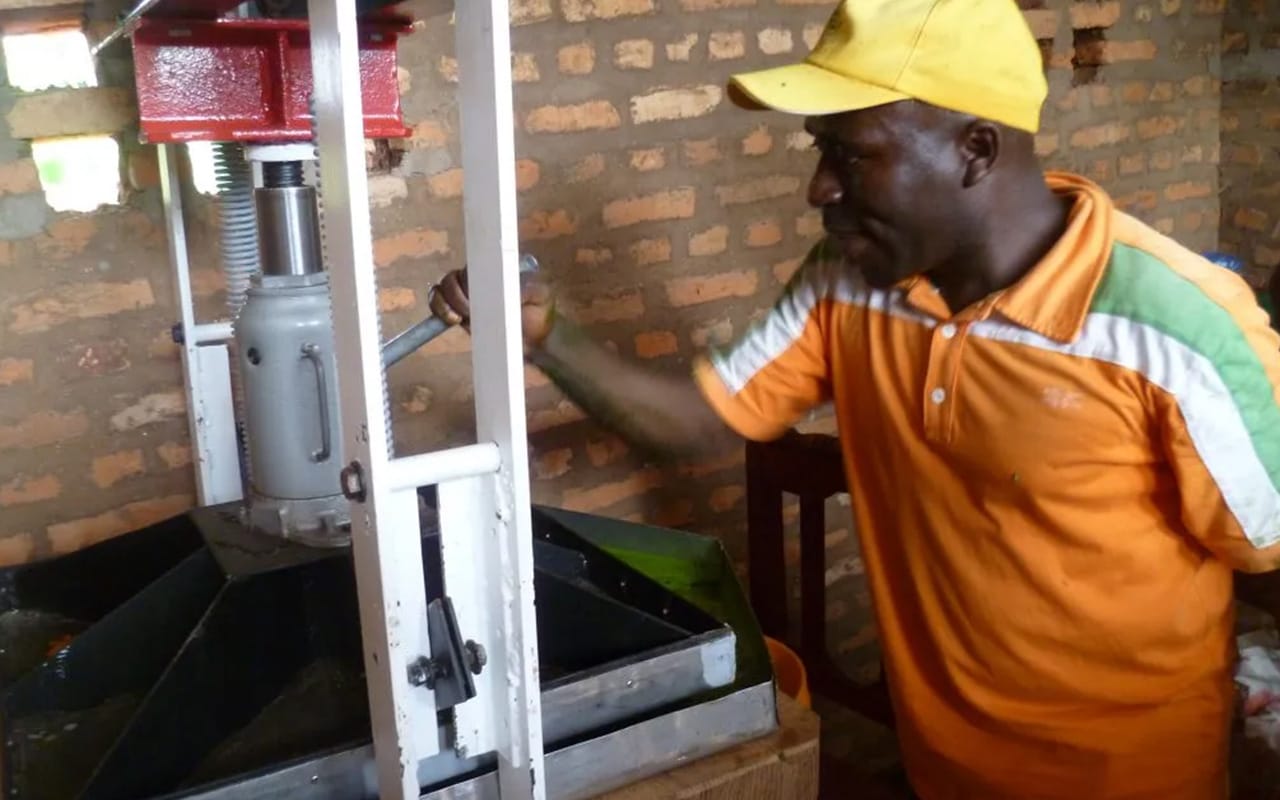 Ligne d&rsquo;extraction foliaire de niébé au Burundi