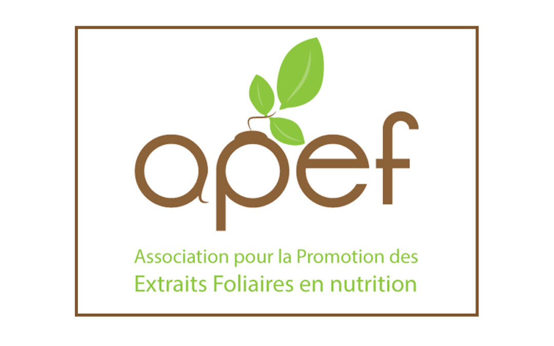 APEF – Association Humanitaire loi 1901