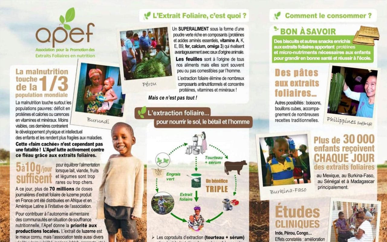 L&rsquo;APEF a publié un document de présentation générale de ses activités