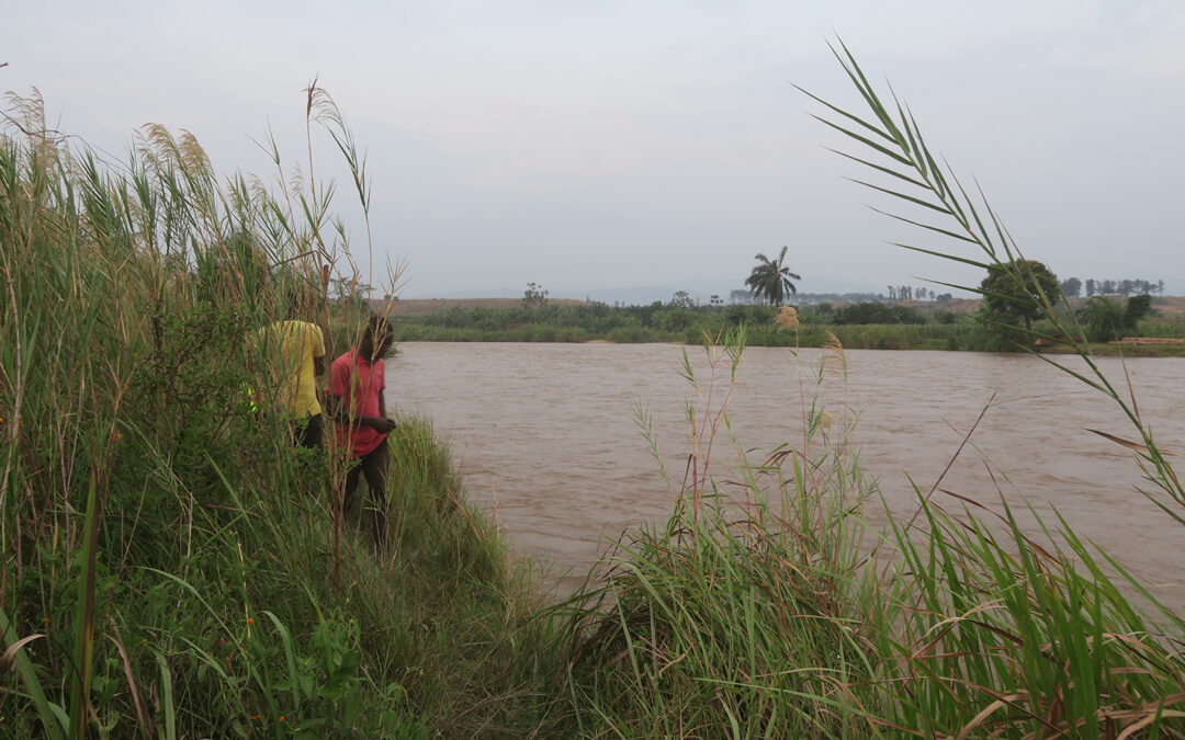 Francis partage avec nous ses premières impressions et réflexions au début de son voyage auprès de Kesho Congo :