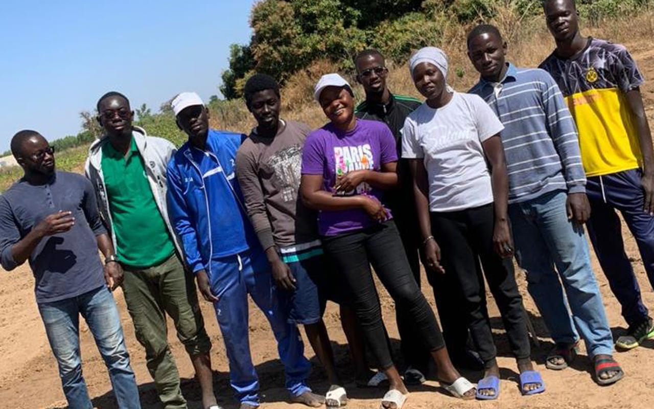 Les activités « amont » de Safe Nutrition : agroécologie de la luzerne: